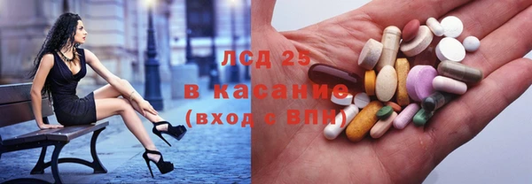 spice Верея