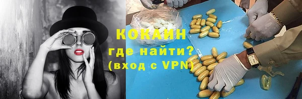 spice Верея