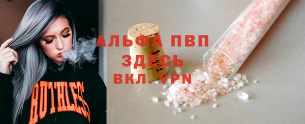 spice Верея