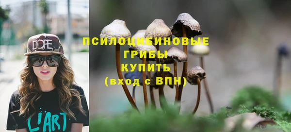 МДПВ Верхний Тагил