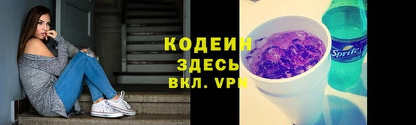 дурь Бородино