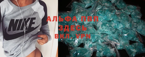 spice Верея