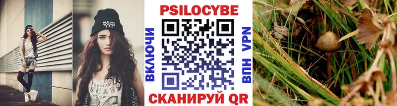 Галлюциногенные грибы мицелий  купить  цена  Электросталь 
